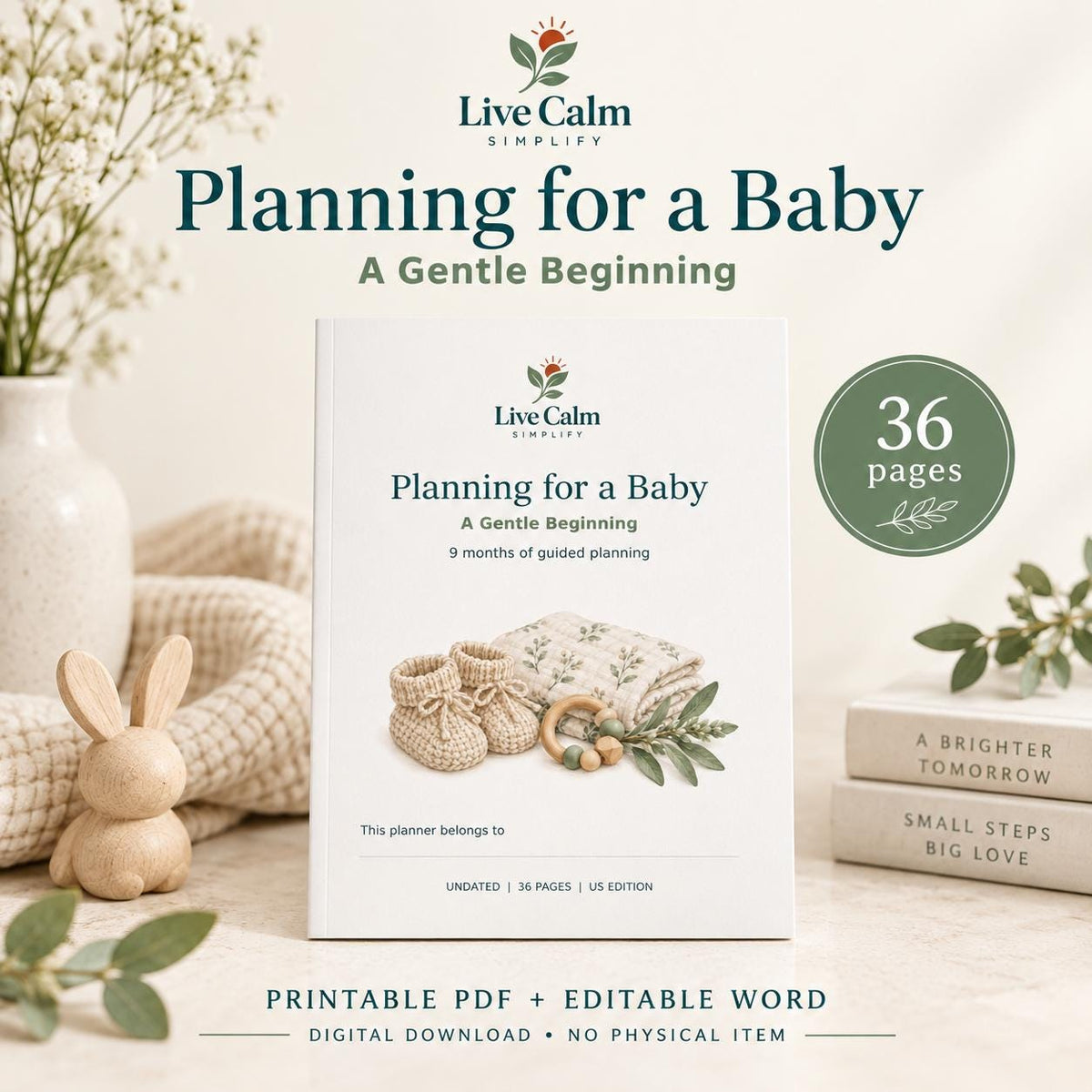 Planning for a Baby Printable 9 Month Pregnancy Preparation Organizer PDF and Editable Word